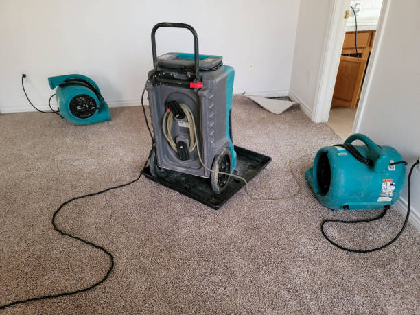 Best 24/7 water damage repair  in East Cleveland, OH