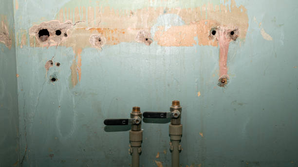 Water damage restoration mold remediation in East Cleveland, OH