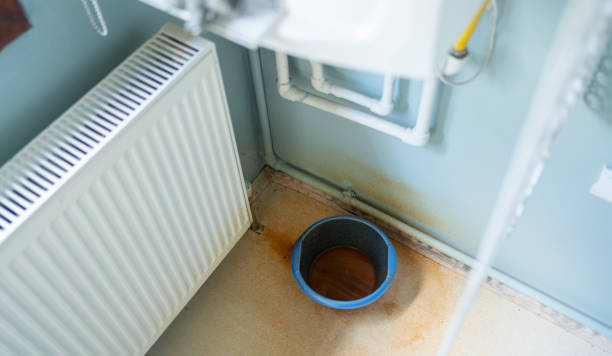 Best Water damage restoration near me  in East Cleveland, OH