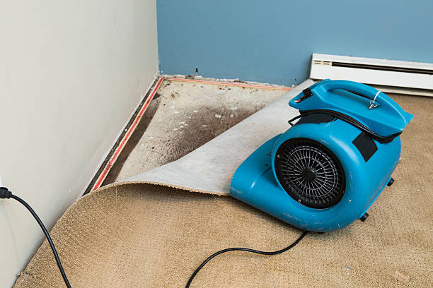 Professional Water damage restoration in East Cleveland, OH